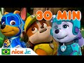 Patrulha Canina | 30 minutos das melhores missões da Patrulha Canina | Nick Jr. em Português
