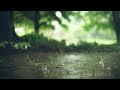 Janaki Amma Ponvanam Panner Thoovuthu Song For Whatsapp Status