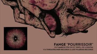 Music video thumbnail preview for FANGE \ by Fange