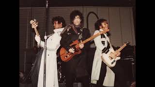 Partyup (Pittsburgh 11-20-81) - Prince