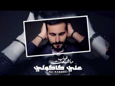 ما شبعت غياب علي كاكولي