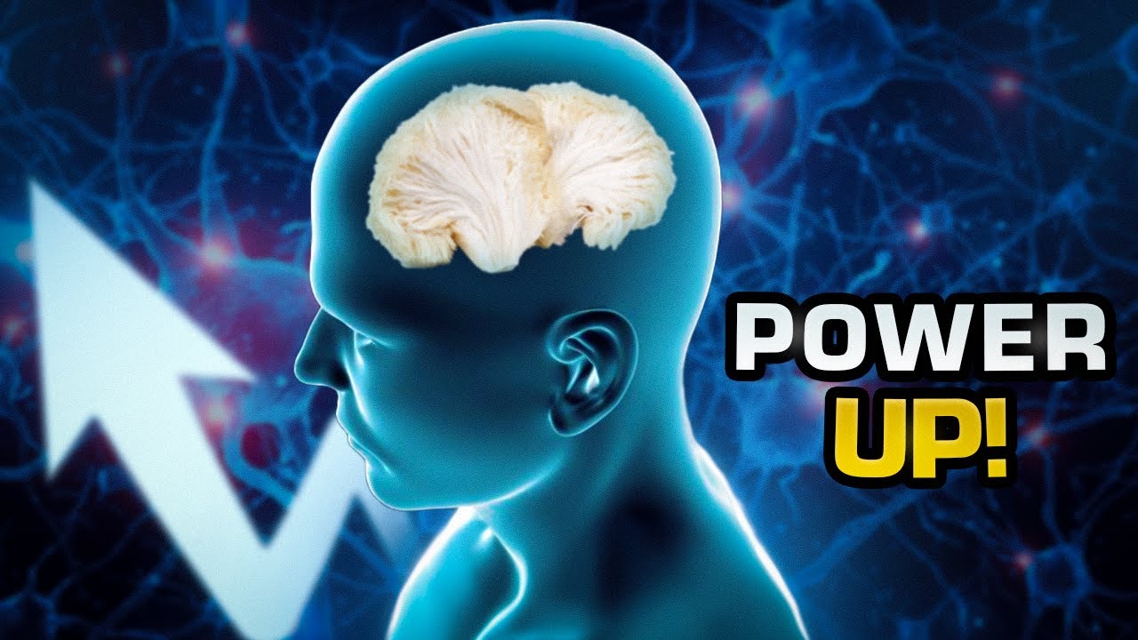 Cogumelo JUBA DE LEÃO impactou velocidade das SINAPSES e COMPORTAMENTO!