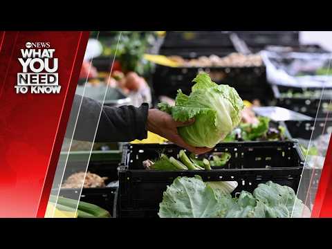 Cyclosporiasis Cases Rise As Outbreak Linked To Shredded Lettuce. What You Need to Know