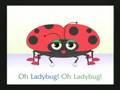 Ladybug, Ladybug 
