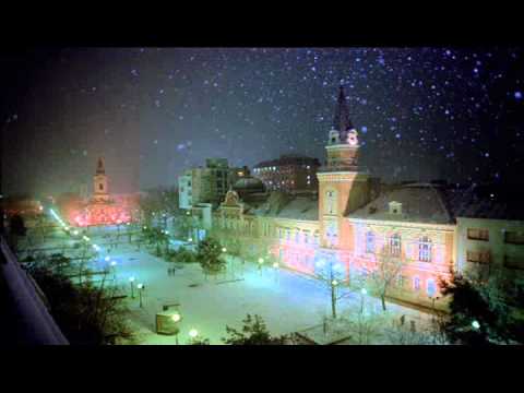 Aleksandar Aca Karadžin - Što tiho pada sneg - Izvođač Duško Ljubičić