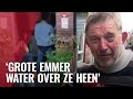 Jordanezen bereiden zich voor op wildplassers met Koningsdag
