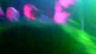 Woodchuck - Go:Audio