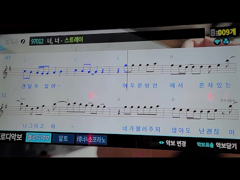 스트레이-너, 너 노래방 커버 [HYUK TUBE]