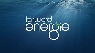 Wir, die forward energie GmbH, sind ein Energieversorger mit Sitz in der HafenCity. Unseren Strom beziehen wir aus skandinavischen Wasserkra