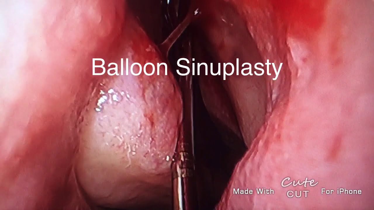 Francesco Maria Passali-6