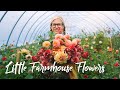 BEAUTIFUL Flower Farm In The Adirondacks Of Upstate New York