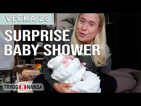 SURPRISE BABY SHOWER 🎀 – Olivia Alkin v28