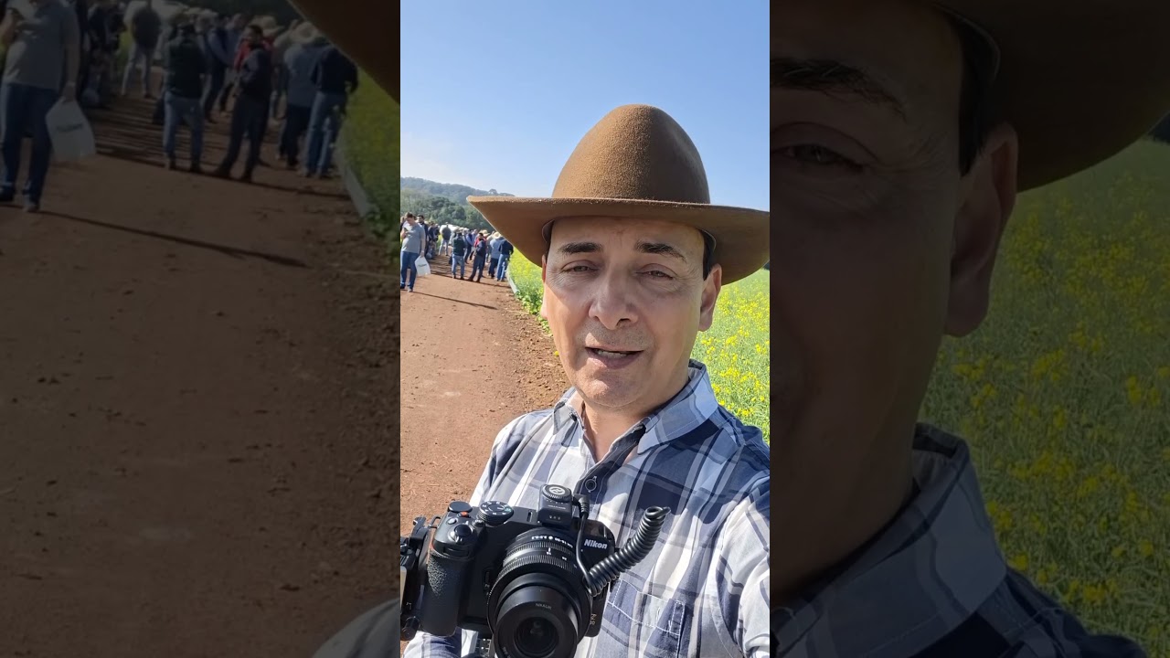 Dia de Campo Canola em Carambeí no Paraná.
