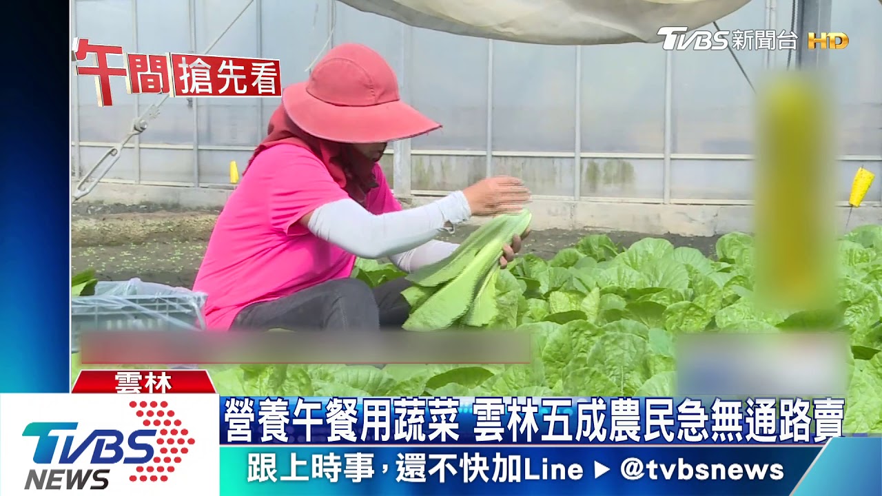營養午餐用蔬菜　雲林5成農民急無通路賣
