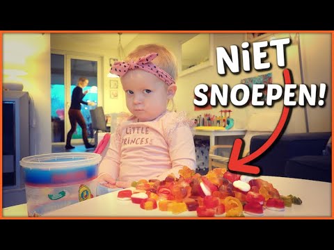 TEST! DOES LUXY TAKE THE CANDY? 🤔 | Luxy Bellinga #13