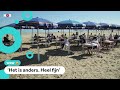 Goed idee? Deze kinderen krijgen les op het strand