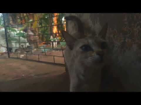 ഇന്നവൻ പിന്നാമ്പുറം കാണിച്ചു നാളെ മുന്നാമ്പുറം കാണിക്കില്ലേ