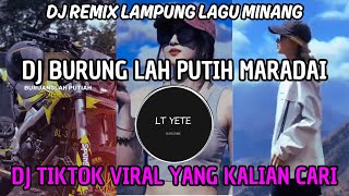 Download lagu DJ BURUNG LAH PUTIH MARADAI | DJ REMIX LAMPUNG LAGU MINANG VIRAL TIKTOK 2024 mp3 Download lagu DJ BURUNG LAH PUTIH MARADAI | DJ REMIX LAMPUNG LAGU MINANG VIRAL TIKTOK 2024 mp3