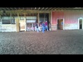 Equine Dentist 3gp