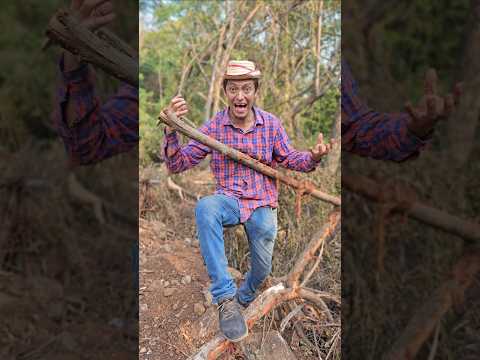 EL PAJARO BAILARIN 🥵 #shorts #viralvideo