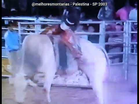 🇧🇷 Ademir Cândido x Forró Pesado - Rodeio de Palestina 2003 #rodeio #rodeo