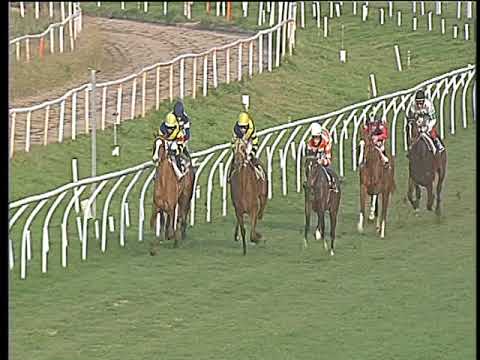 Galoppo 10/02/2018 - 3ª corsa