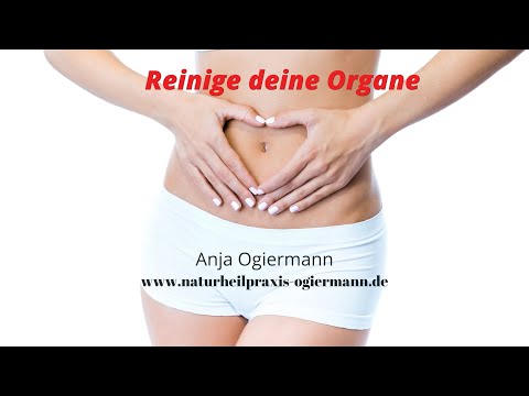 Geführte Meditation - Reinige deine Organe