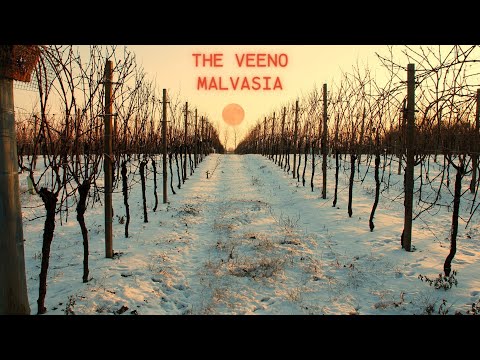 The Veeno - Malvasia