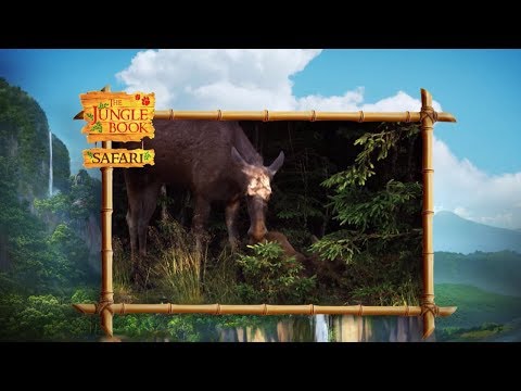 The Jungle Book Safari - Episode 20 - Gregarious