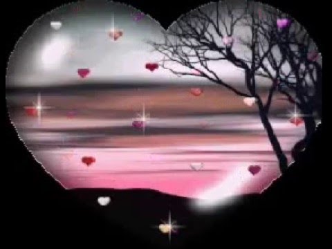 Love Song - The Vogues