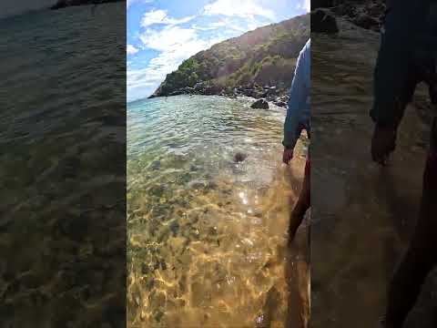 você sabe o que é uma pesca sustentável?