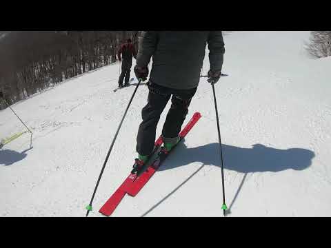 2020 Ski Test - Atomic Redster G9 Skis
