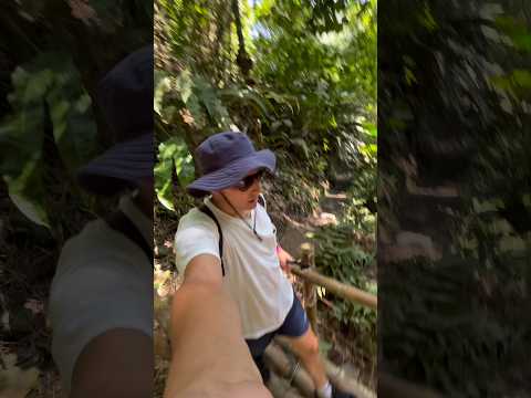 De Murillo a la Ciudad Perdida