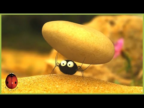 Pea supper | Minuscule 🍃10' Compilation