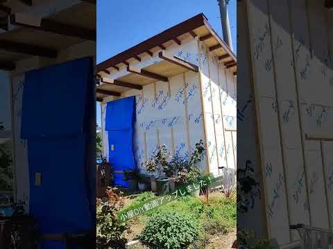 庭の小屋の作り方は？楽園の一角の方法、手順、メリット  庭園