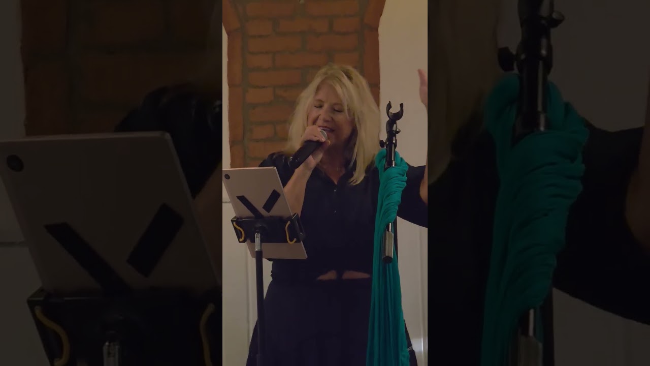 Promotional video thumbnail 1 for Leslie Rich your Palm Beach Entertainer