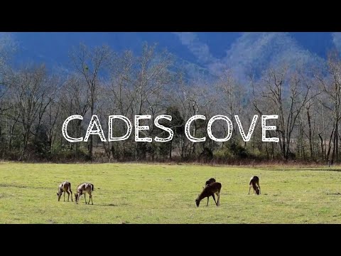 Let’s Talk About Cades Cove (with Dustin Day)