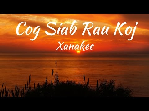 Cog Siab Rau Koj - Xanakee #hmong #hmongsong #hmongmusic #nkaujhmoob