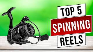 Top 5 Best Spinning Reels in 2025 | Best Spinning Fishing Reels 2025