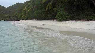 oscar anchors the boat