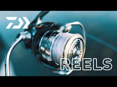 Daiwa 18 Exist LT 2500D