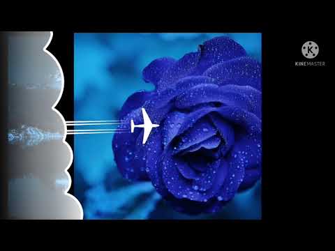 good 😊👍 and Best