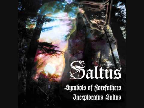 Saltus - Seasons in the Abyss ( cover Slayer )