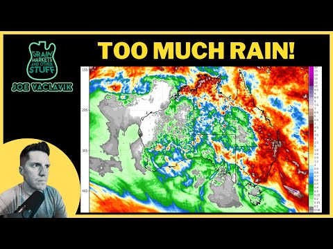 Starke Regenfälle beeinträchtigen die australische Weizenqualität