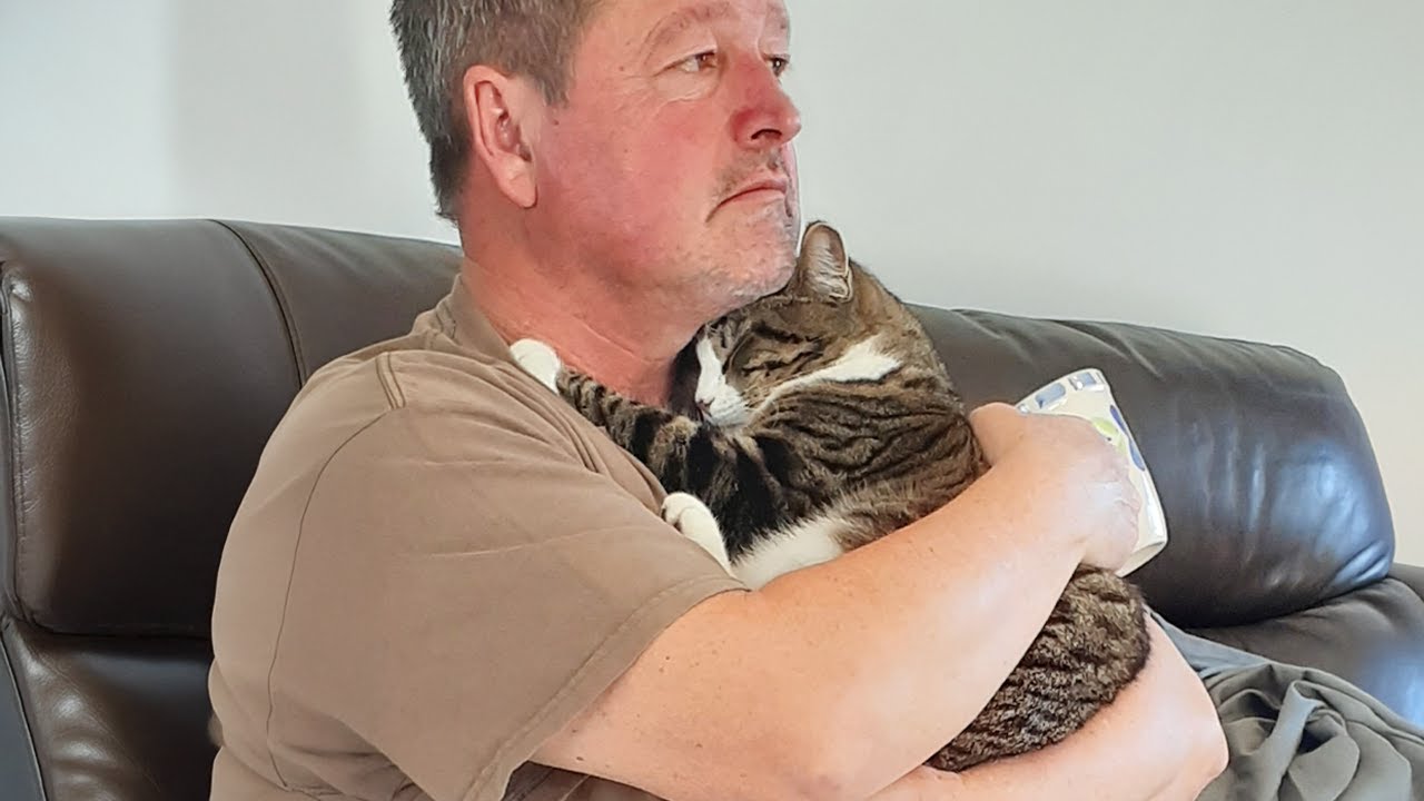 When your cat becomes your precious friend 😄 Funny Cat and Human
