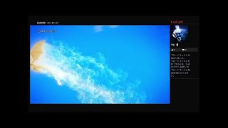 初ps4 ドラクエ11嫁がプレー（´-`）