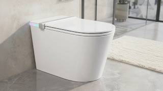 Is This the Best Smart Toilet? DeerValley DV_1S0360-V3 Review