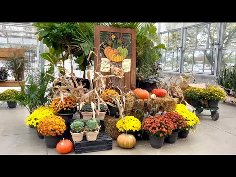 Fall Nursery Tour … True Fall Colour in Canada