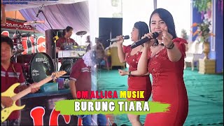Download lagu BURUNG TIARA || COVER OM ALLICA MUSIK PALEMBANG || #palembangterkini #musibanyuasin #dangdutkoplo mp3 Download lagu BURUNG TIARA || COVER OM ALLICA MUSIK PALEMBANG || #palembangterkini #musibanyuasin #dangdutkoplo mp3