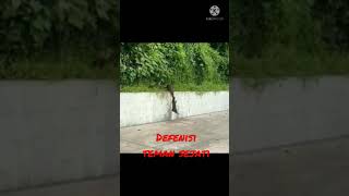 Download lagu Video inspirasi: teman sejati tidak akan meninggalkan sahabatnya. #shorts mp3